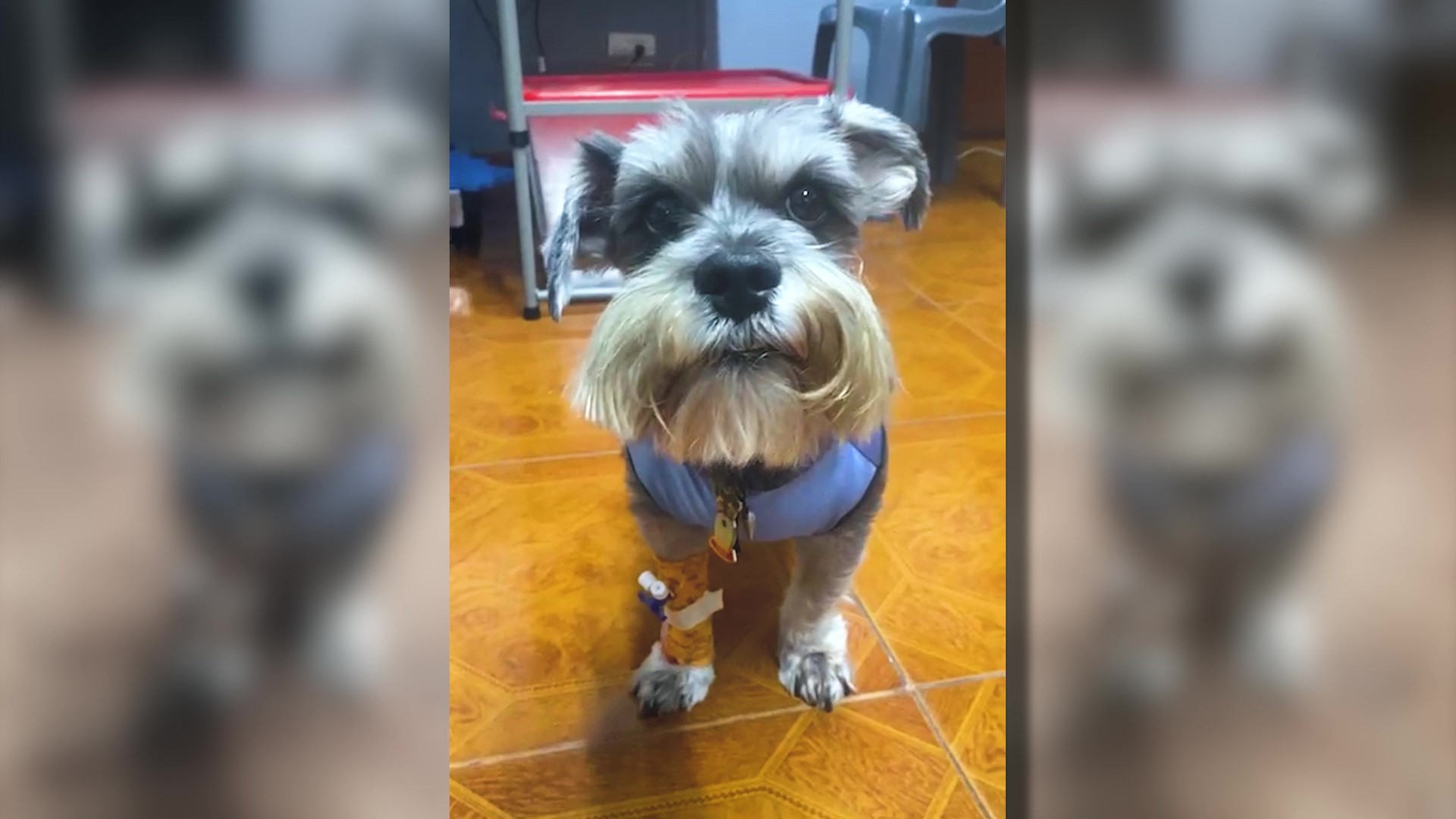 LA HISTORIA DE LOIT: SUPERANDO UNA OBSTRUCCIÓN URETRAL CON UNA CIRUGÍA EXITOSA