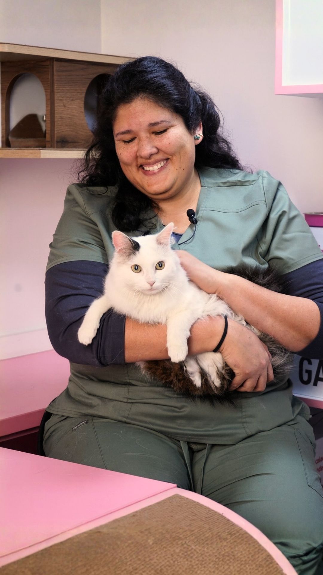 M.V.Z. Diana Pareja CMVP:8908