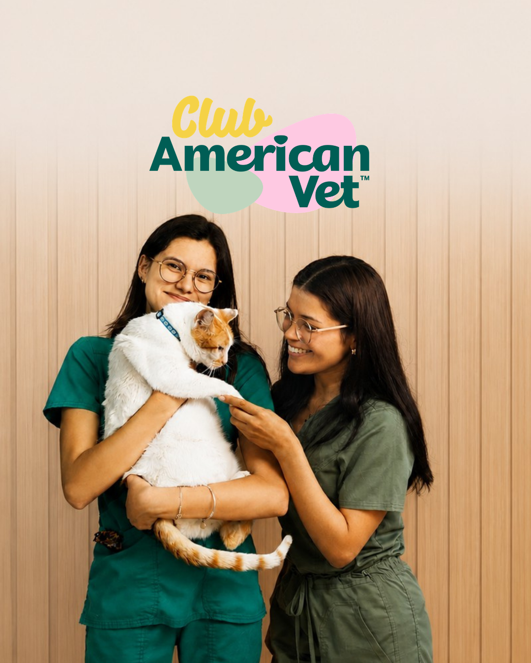 Equipo veterinario de American Vet con un gato