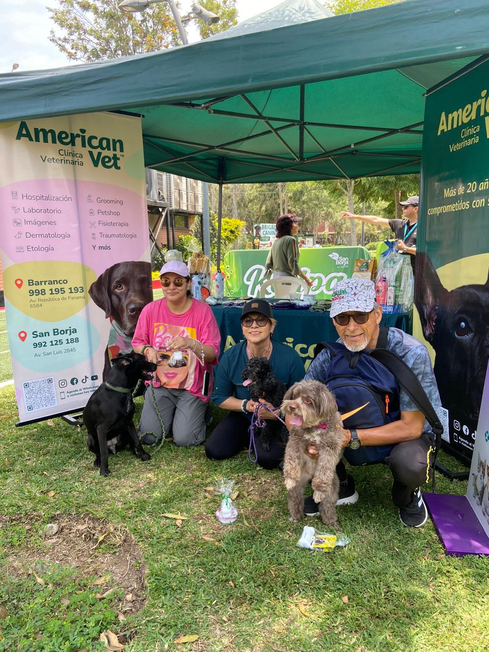 Encuentro de una alianza de American Vet