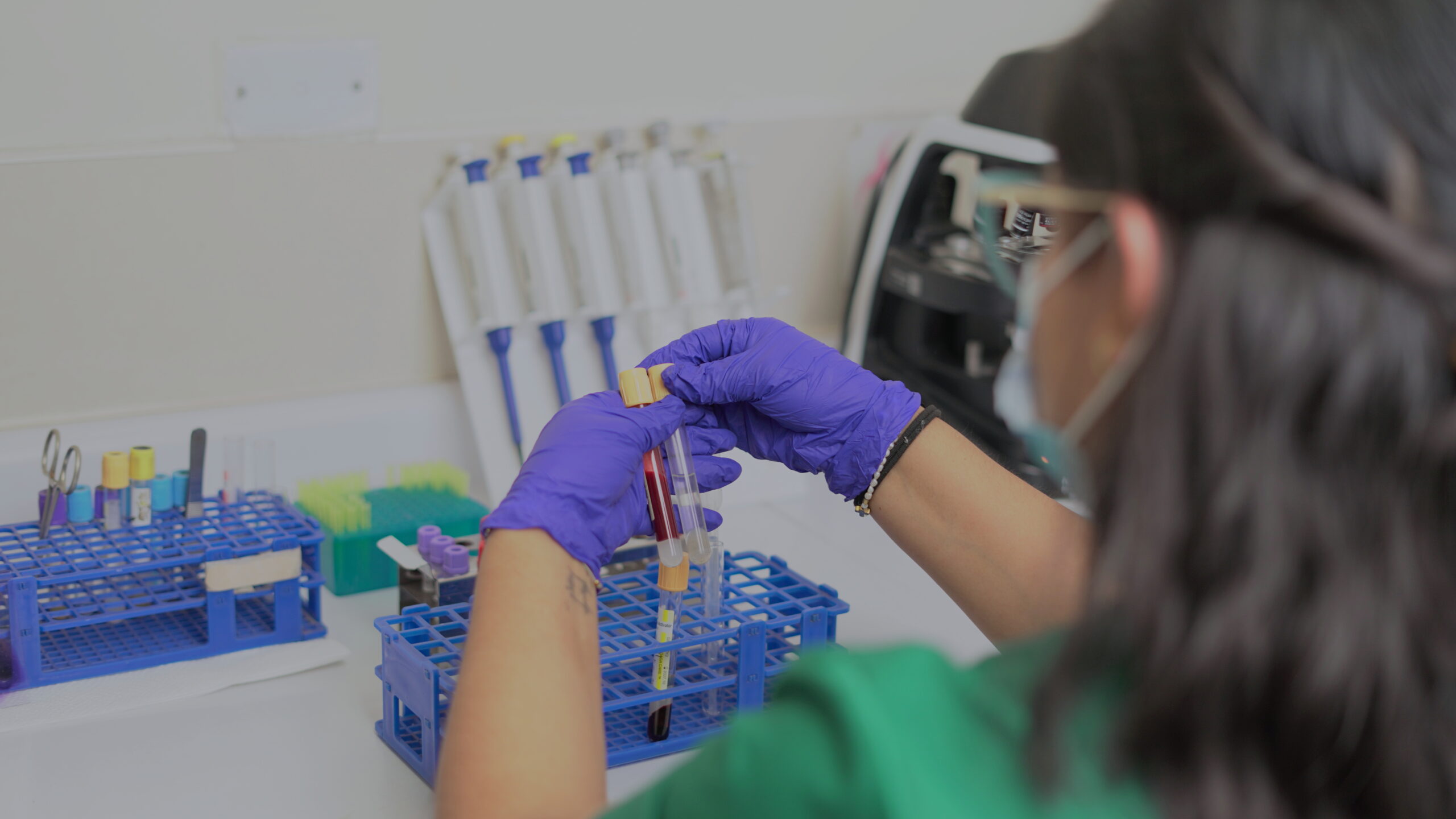 Laboratorio de American Vet