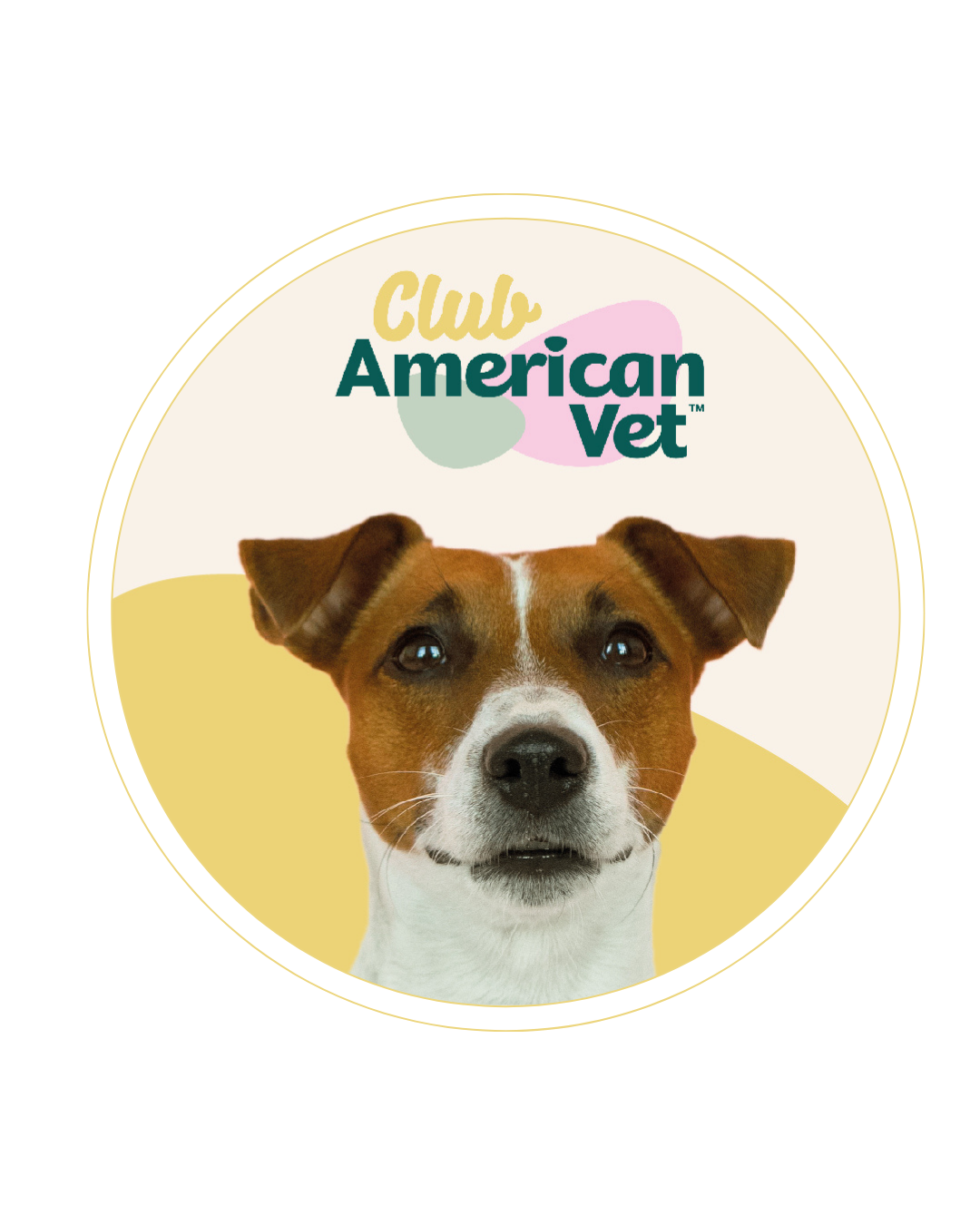 Comunidad de perros del Club American Vet