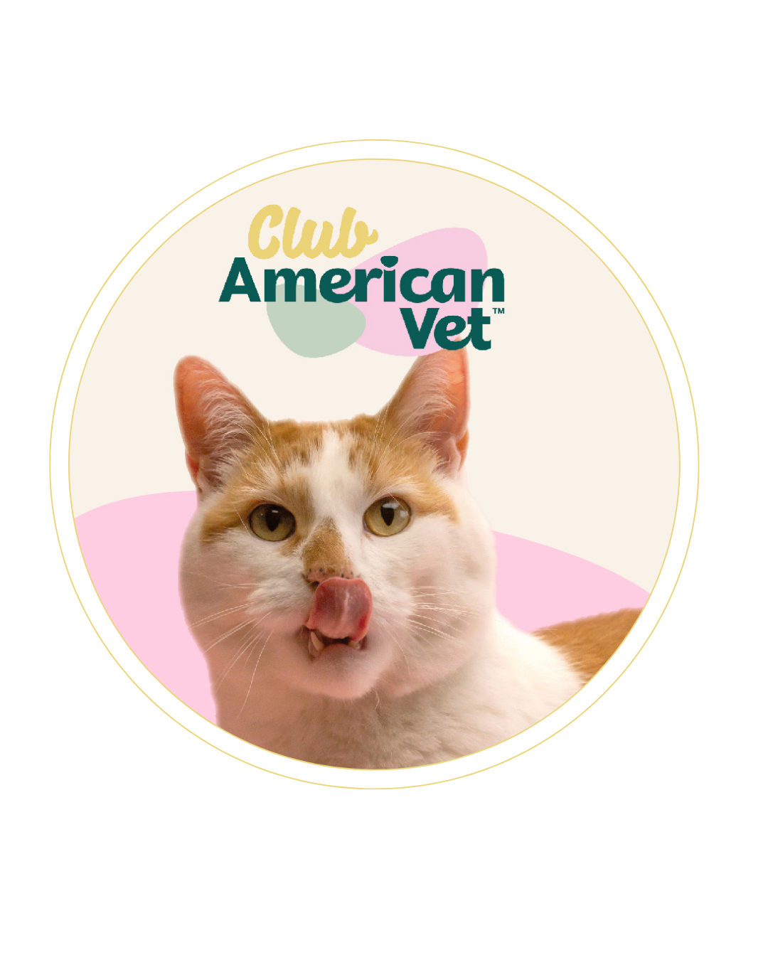 Comunidad de gatos del Club American Vet