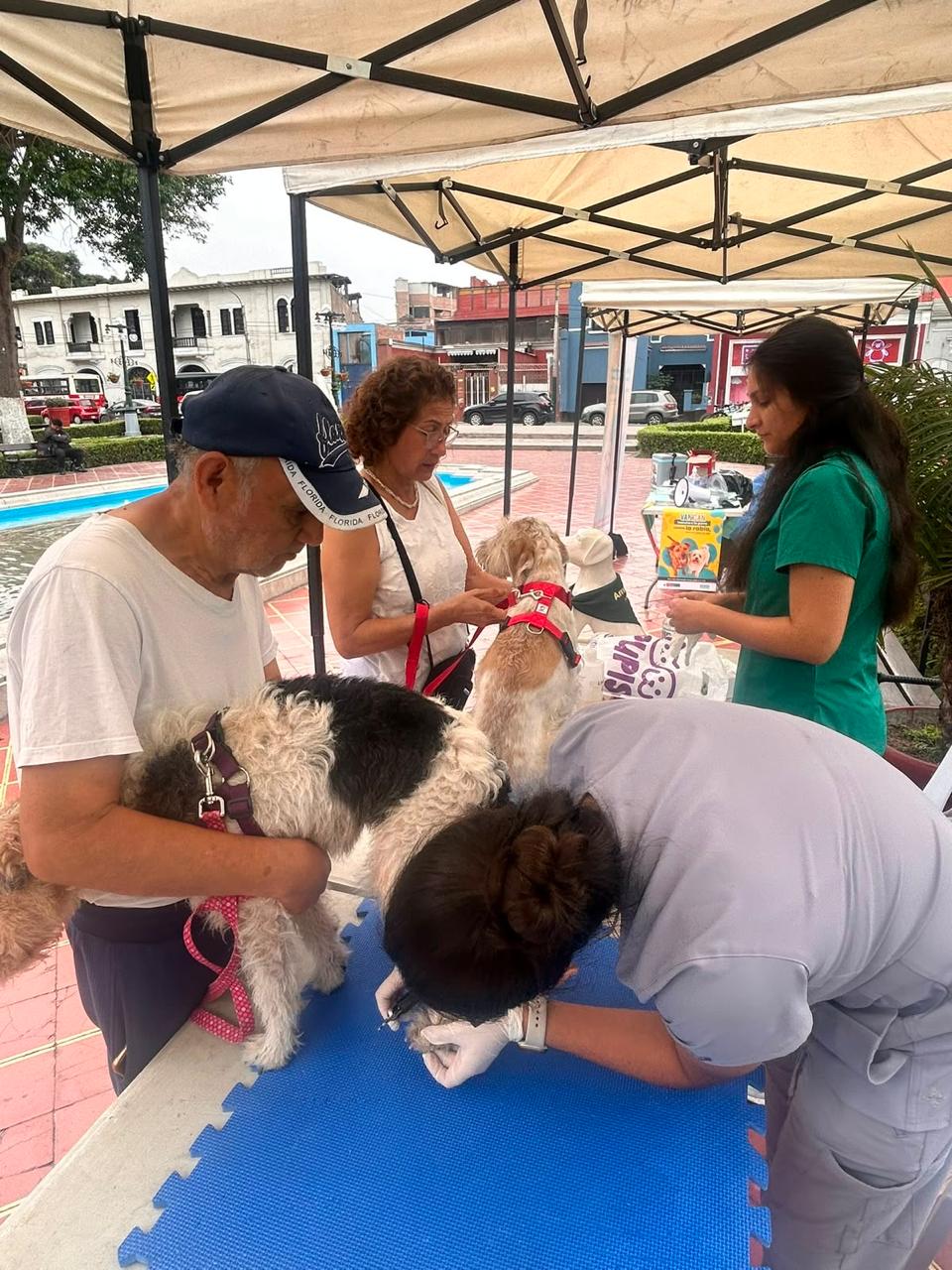 Momentos compartidos con aliados de American Vet