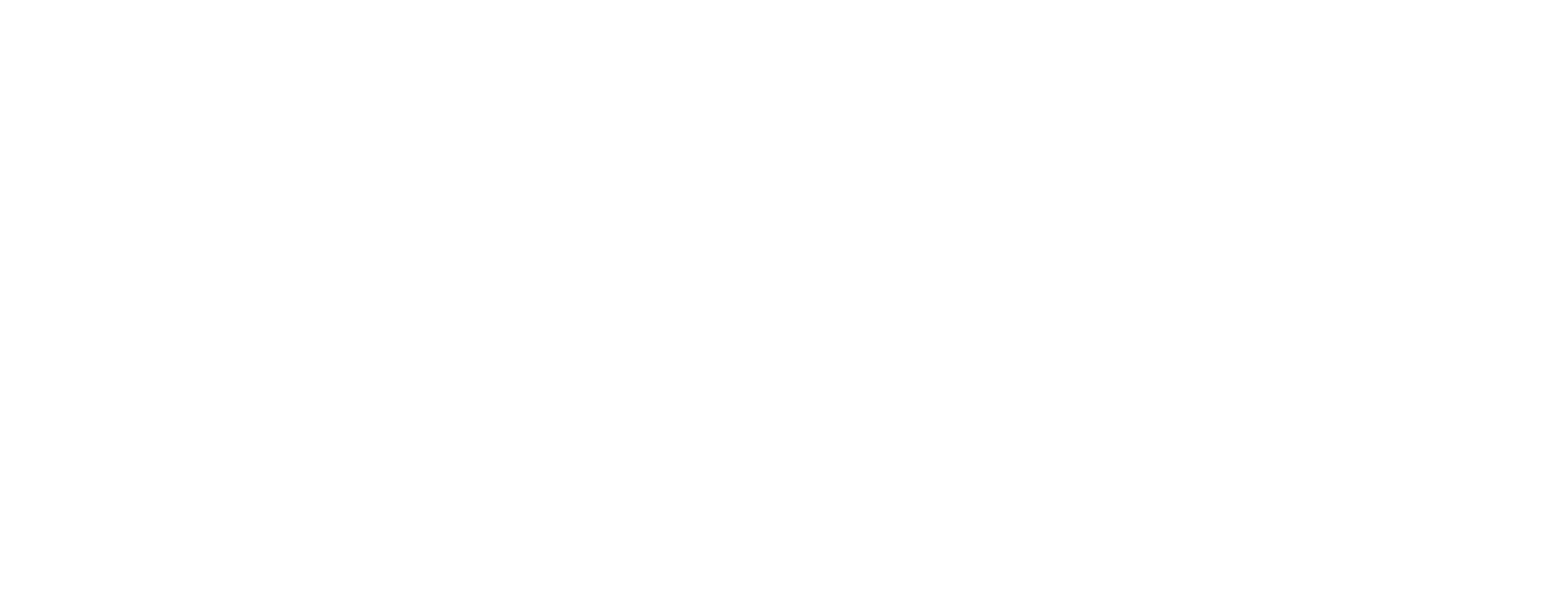 American Vet